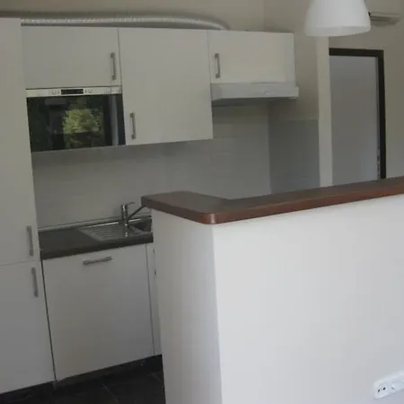 Geraumige Ferienwohnung Mit Garten Und Schwimmbad Apartment *